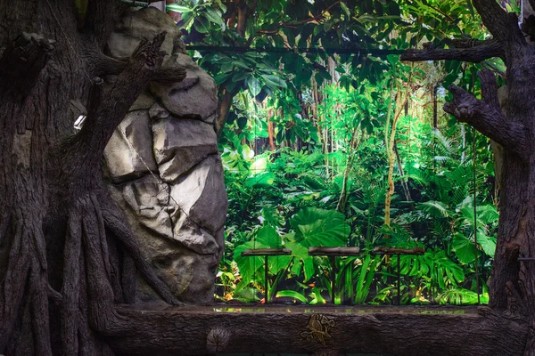 görünümü, tropikal bitki