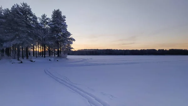 Oroszország Karelia Kostomuksha Nap Látható Fák Mögött Egy Havas Partján — Stock Fotó