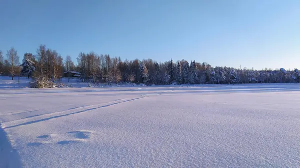 Een Ijzige Zonnige Dag Een Besneeuwd Meer — Stockfoto