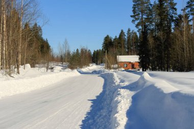 Ormanın kenarında büyük evler duruyor..