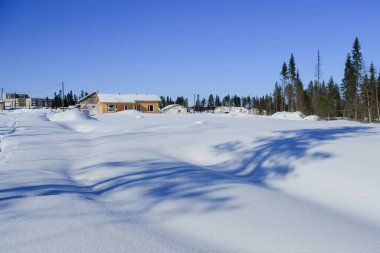 Ormanın kenarında büyük evler duruyor..