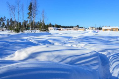 Ormanın kenarında büyük evler duruyor..