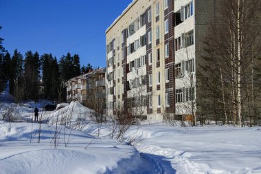 Ormanın kenarında büyük evler duruyor..