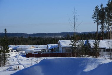 Ormanın kenarında büyük evler duruyor..