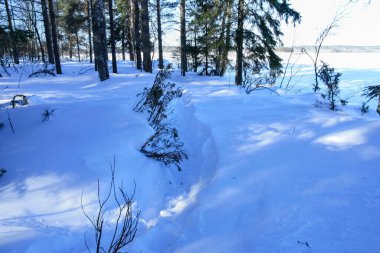 Ormandaki yol karla kaplıydı..