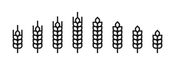 Epi d'orge ou épi de maïs. Boulangerie, pain ou agriculture logo concept. — Image vectorielle