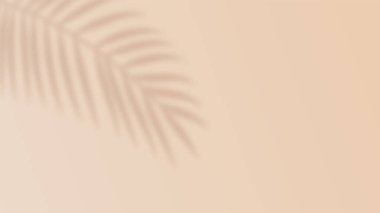 Güneşli arka planda avuç içi gölgesi. Tropik yaprak gölgesi.