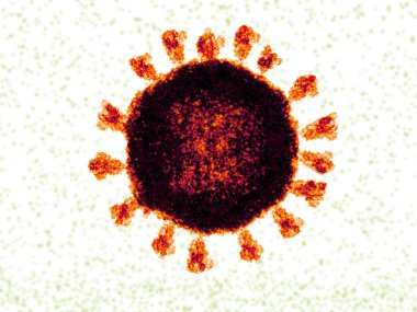 SARS-CoV-2 koronavirüs elektron mikroskop görüntüsü şeklinde tasvir edilmiştir. 