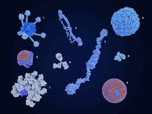 Komplement Fibrinogen Von Willebrand Faktor Ferritin Hdl Immunglobulin Immunglobulin Albuminbärande — Stockfoto