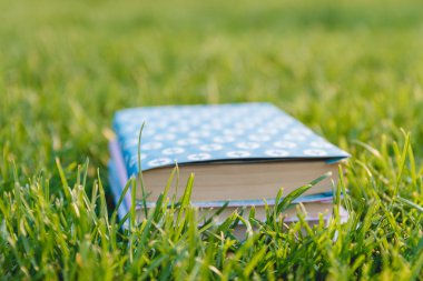 çimenlerin üzerinde kitap yığını