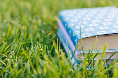 çimenlerin üzerinde kitap yığını