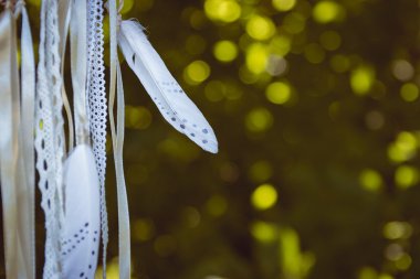 Kurdele beyaz tüyler, yakın çekim