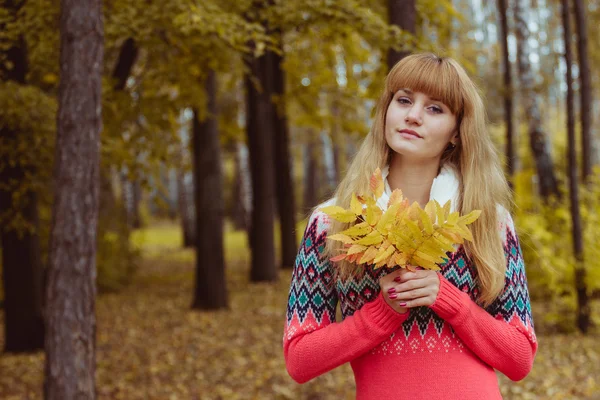 Pige i park farverigt efterår - Stock-foto