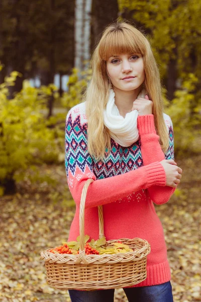 Осенняя концепция - осенняя женщина держит корзину в парке — стоковое фото