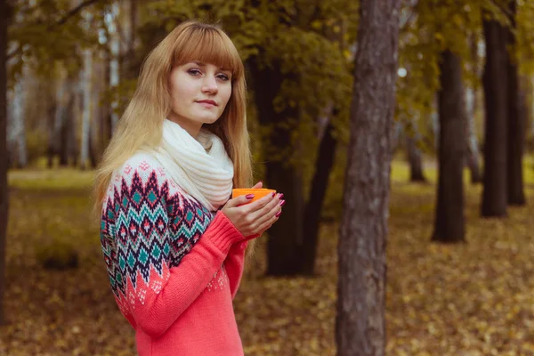 Autunno concetto - autunno donna bere caffè nel parco — Foto Stock