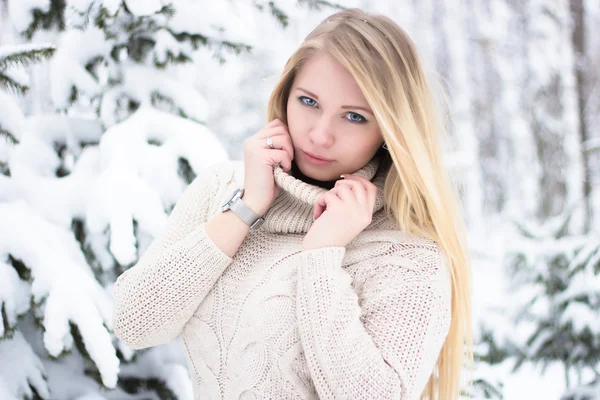 Portréja egy gyönyörű szőke télen — Stock Fotó