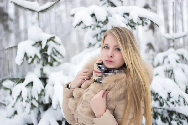 Porträt einer schönen Blondine im Winter — Stockfoto