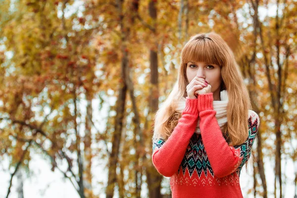 Mooie jonge vrouw - kleurrijke herfst portret — Stockfoto