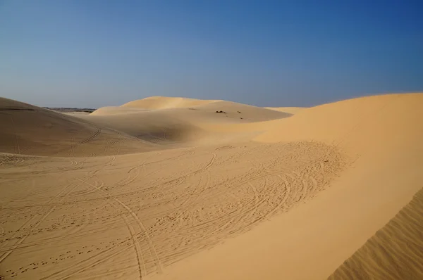 Sanddüne — Stockfoto