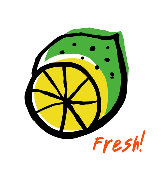 Sketch of fresh lime. — Stock Vector