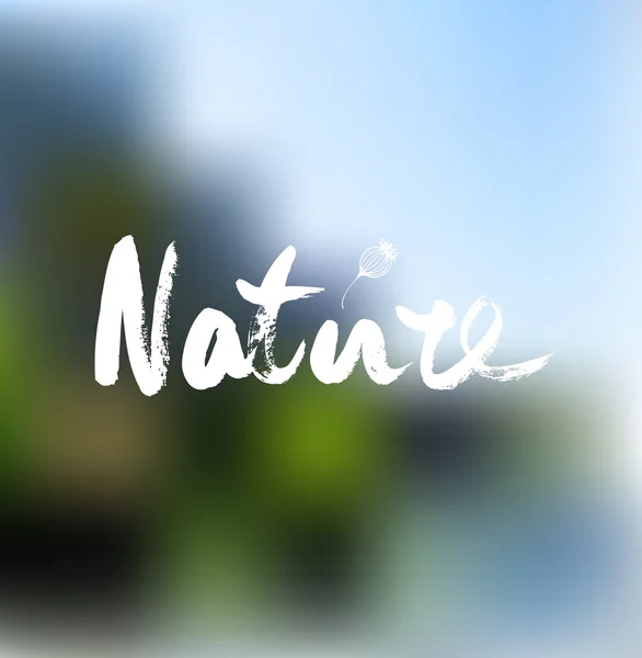 Natura lettering disegnato a mano — Vettoriale Stock