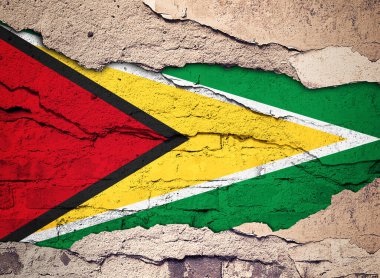 Eski bir duvar arkasına Guyana bayrağı boyanmış. 3B illüstrasyon 