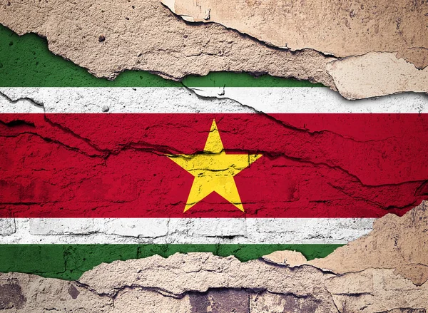 Eski bir duvar arka planında soyadıyla yazılmış bayrak. 3B illüstrasyon