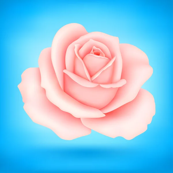 Rosa rosa — Archivo Imágenes Vectoriales
