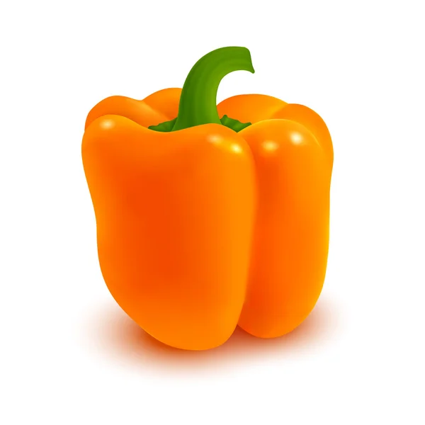 Orange paprika. Övriga-paprika — Stock vektor