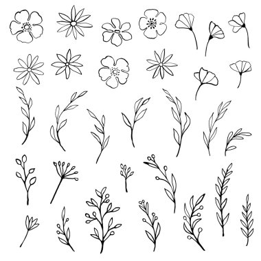 el çekilmiş çiçekler ve bitkiler