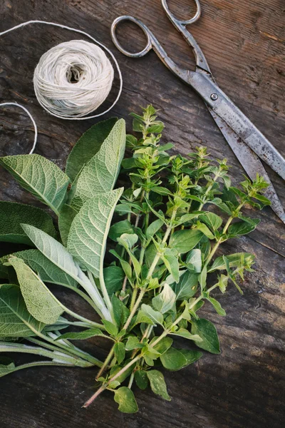 Fresh herbs — Stock Photo, Image