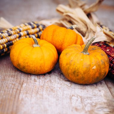 Sonbahar sakin bir hayat