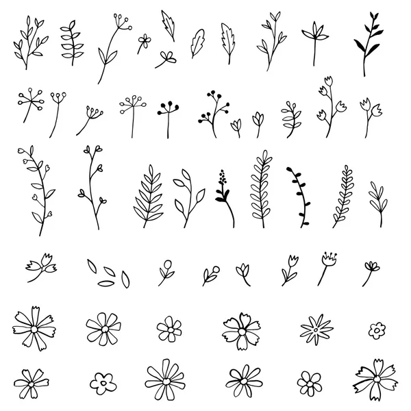 Flowers and plants vector collection Stock Vector Image by ©MKucova