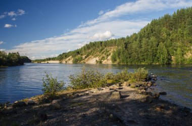 Orman göl kenarında.