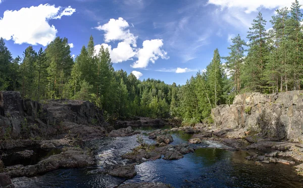 Floden och skogen på stranden, panorama — Stockfoto