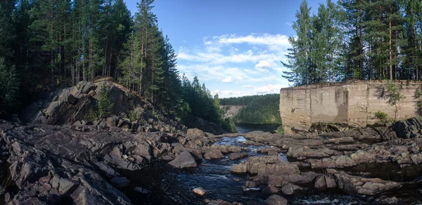 Floden och skogen på stranden, panorama. — Stockfoto