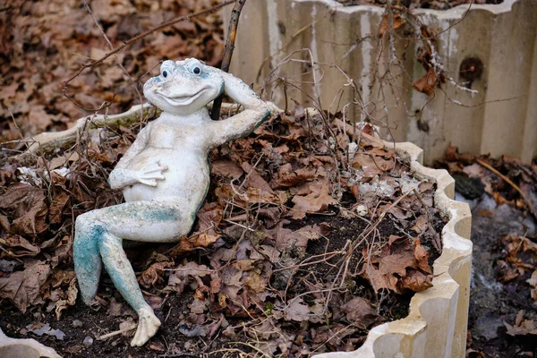 Figurinha Jardim Velha Sapo Canteiro Flores Contra Fundo Folhas Outono — Fotografia de Stock