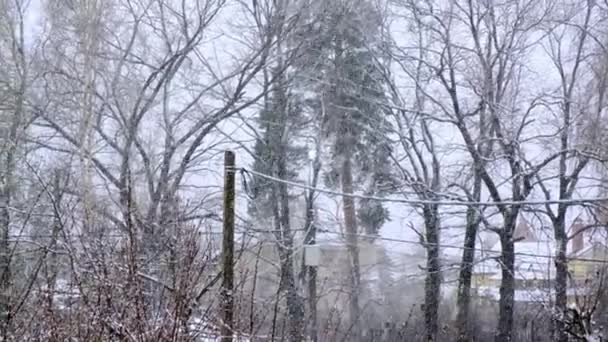 Tempestade Neve Fundo Uma Paisagem Rural — Vídeo de Stock