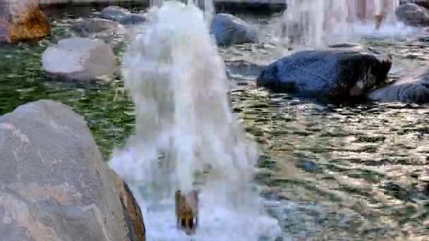 Fuente Del Parque Ciudad Primer Plano Agua Salpicada — Vídeo de stock