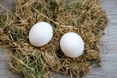 Bulanık arka planda taze samanlı iki tavuk yumurtası. Seçici odak.