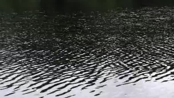 Ripples Surface Pond River Reservoir Abstract Natural Background — Stock Video