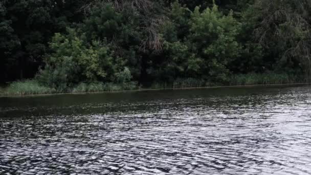 Wellen Auf Der Oberfläche Eines Teiches Flusses Stausees Vor Dem — Stockvideo