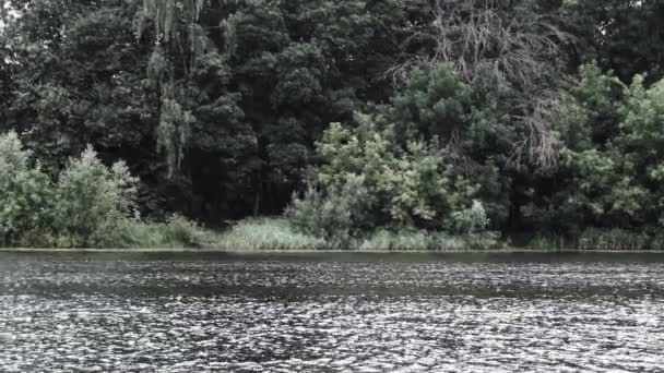 Vlnky Hladině Rybníka Řeky Přehrady Pozadí Lesa Oblačného Počasí Souhrnná — Stock video