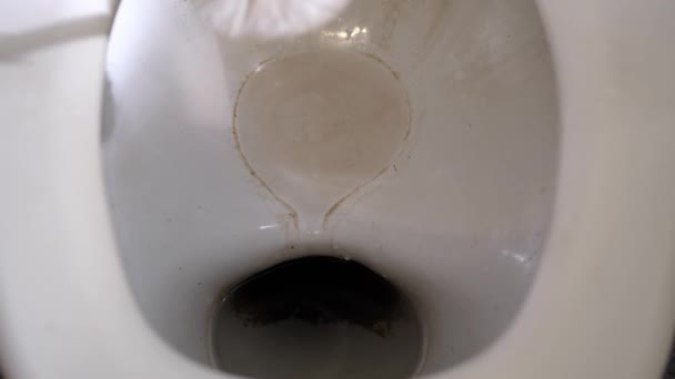 Eine Alte Schmutzige Toilettenschüssel Wird Mit Einer Bürste Gewaschen Und — Stockvideo