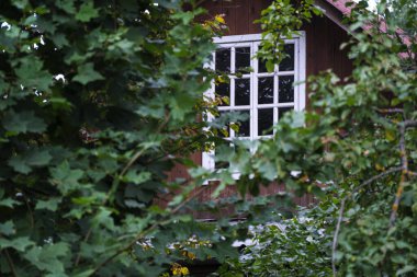 Eski evin penceresi ön plandaki bulanık yeşil yeşillik görüntüsünden geçiyor. Seçici odak.