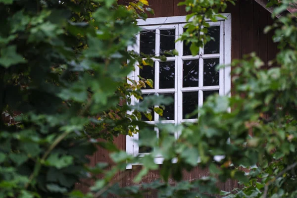 Window Old House Blurred Image Green Foliage Foreground Selective Focus — Stock Photo, Image