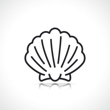 scallop or sea shell thin line icon