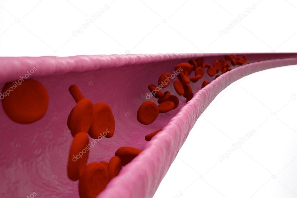 Red blood cells, red blood cells, blood cell flow, Normal artery, Microscope, Carry, Red Blood Cell Count, Analysis, Human Body, Blood Type, Mammals, Oxygen Transport, Hemoglobin, Tissues, Red Blood Cell Cells, Blood, Blood Pressure, Blood vessels