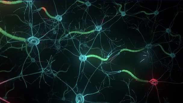 Elektromos Impulzus Sejtmag Myelin Hüvely Dendritek Jel Biológia Receptor Emberi — Stock videók