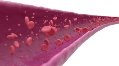 Normal arter, mikroskop, çalışma, taşıyıcı, kırmızı kan hücresi sayısı, analiz, insan vücudu, kan grubu, memeliler, karbon monoksit, oksijen nakli, hemoglobin, doku, kırmızı kan hücresi, kan basıncı, kalp, yoğunluk, duman, kan damarları.